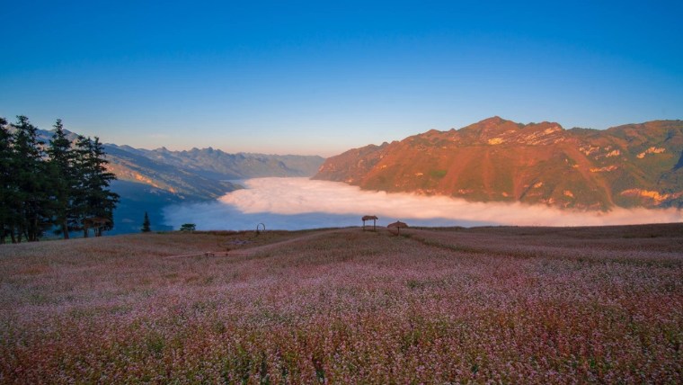 winter-in-ha-giang